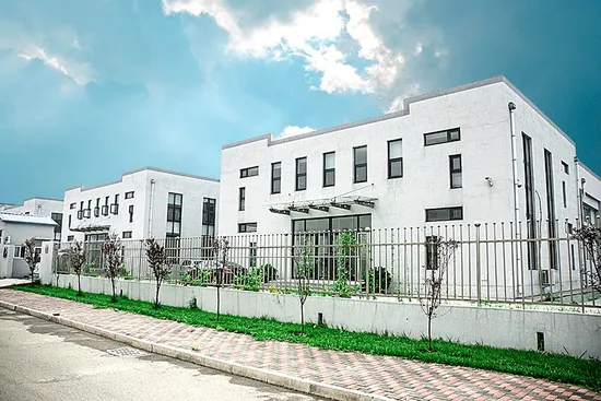 ヘアブラシ ウッドコーム 育毛ヘアケア製品